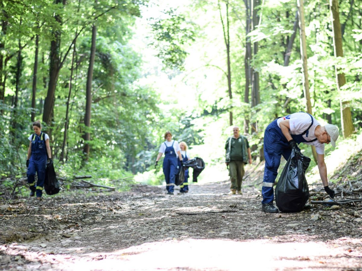 NIS volonterska akcija